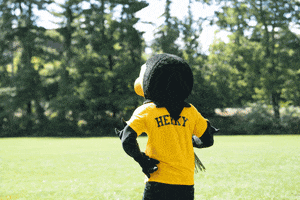 Hawkeyes Herky GIF by University of Iowa