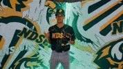 Baseball Bison GIF by NDSU Athletics