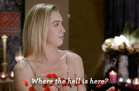 camping where are we GIF by The Bachelor Australia