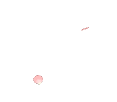flower petals flowers Sticker by VIZ