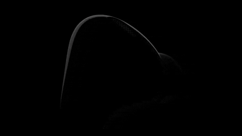 WarePalace giphygifmaker GIF