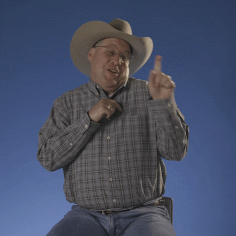 Pointing Cliff GIF by Big Brother