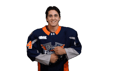 Game Day Goal Sticker by Flint Firebirds