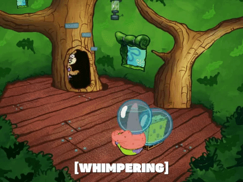 season 5 episode 10 GIF by SpongeBob SquarePants
