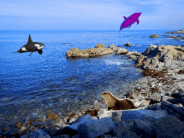 GIF by namslam