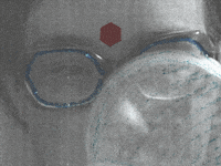 Sound And Vision Girl GIF by Beeld en Geluid