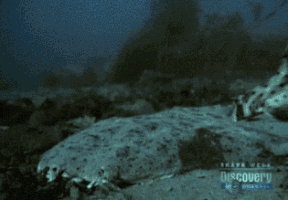 guy hangs GIF