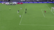 save bill hamid GIF by D.C. United