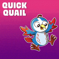Bird Survives GIF by VeeFriends