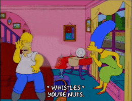 homer simpson GIF