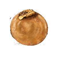 Sourbombe doughnuts bomboloni sourbombe sourdoughnut Sticker