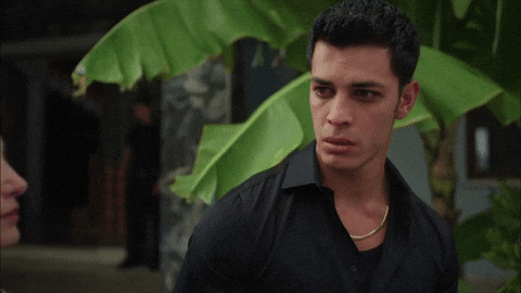 Bereketli Topraklar GIF by Show TV