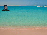 Wissen Geschaeftsidee Mit Pepp GIF by FranchiseONE.de