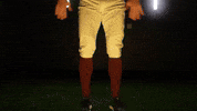 Baseball Juco GIF by Pearl River Athletics