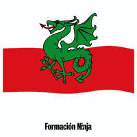 Flag Spain GIF by Formación Ninja