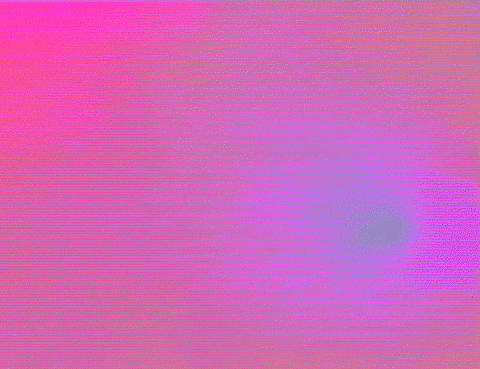Digital Art Love GIF by Jess Mac