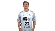 Handball-Bundesliga Handball Sticker by LIQUI MOLY HBL