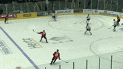 SCStingraysHockey shimmy stingrays GIF