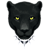 Panthers Vape Juice Sticker by Dr Vapes