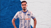 Bundesliga Berlin GIF by Hertha BSC