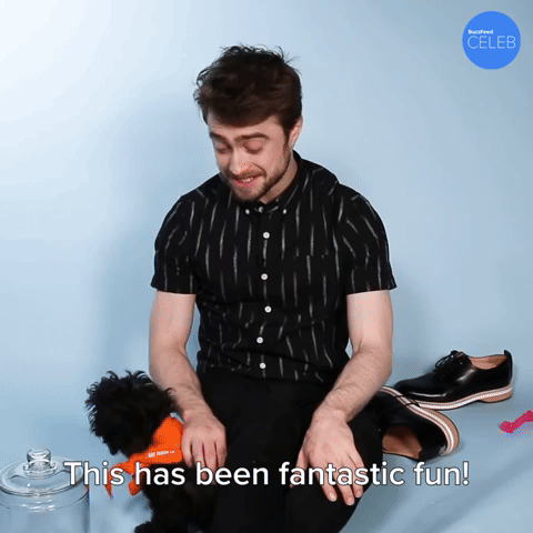 This Has Been Fantastic Fun