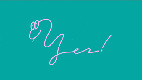 jaxxask giphyupload yes typography snake GIF