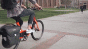 california student GIF by Electric Cyclery