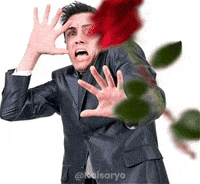 Rejected GIF
