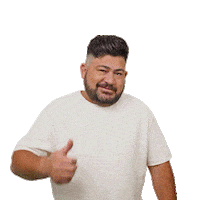 Driver Ok Sticker by 99app