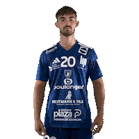 Happy Hand Sticker by GRAND BESANÇON DOUBS HANDBALL