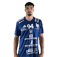 Celebration Hand Sticker by GRAND BESANÇON DOUBS HANDBALL