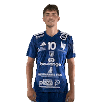 Hand Adidas Sticker by GRAND BESANÇON DOUBS HANDBALL
