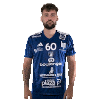 Celebration Hand Sticker by GRAND BESANÇON DOUBS HANDBALL