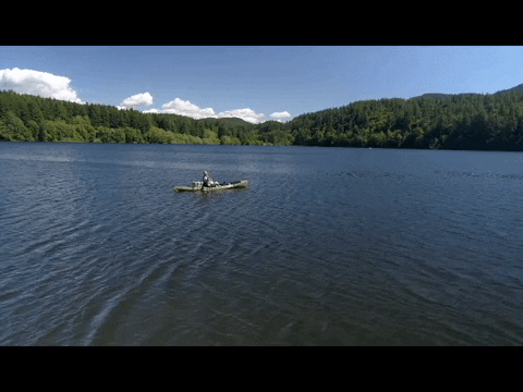 tublogdepesca giphyupload GIF