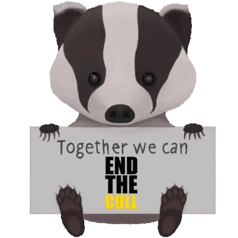 Sign Love Sticker by Badger Trust