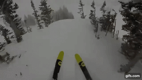 tree jumping off cliff skier GIF
