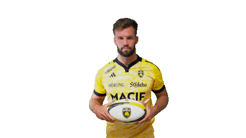 Sport Celebration Sticker by Stade Rochelais