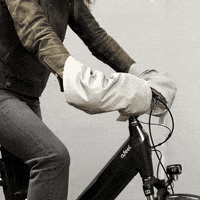 GIF by Rainette