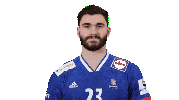Happy France Sticker by EHF
