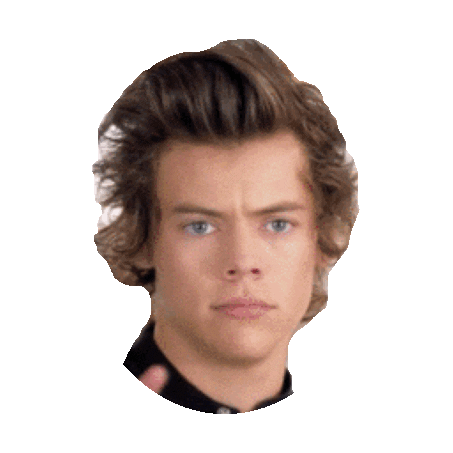 Harry Styles Sticker by imoji