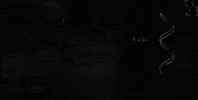 Stem GIF by Galveston College