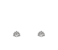 fsforomezcal celebration cheers mexico wine Sticker