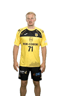 Sport Handball Sticker by HSC 2000 Coburg