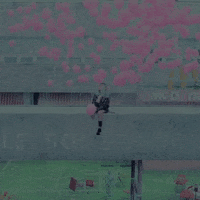 Lisa Stay GIF by BLACKPINK