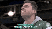 National Football League GIF by NFL