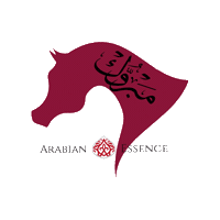 arabianessencetv arabian arabianessence arabianhorse arabianessence arabians cavallo cavalloarabo Sticker