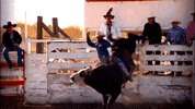 oklahoma GIF
