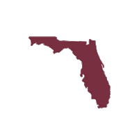 fsu seminoles Sticker by Florida State University