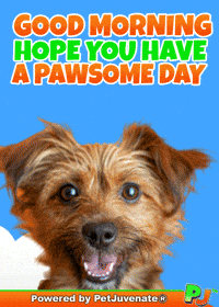 Henlo Hooman Fren GIF by PetJuvenate - PJ