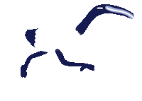 Happy Bird Sticker by Mirjam Debets